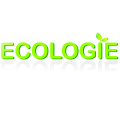 Fototapeta premium ecologie_feuille