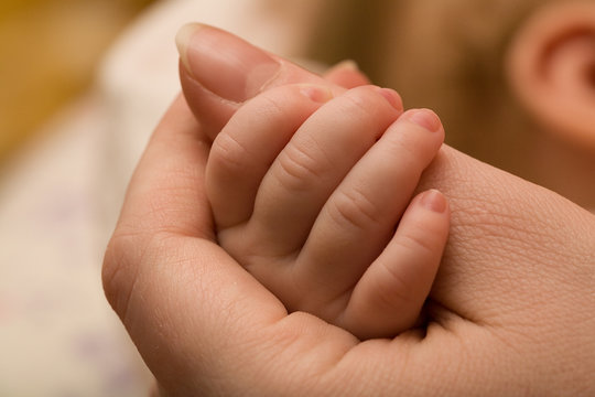 mother and baby hands