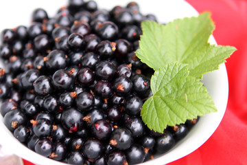 Schwarze Johannesbeeren,Obst