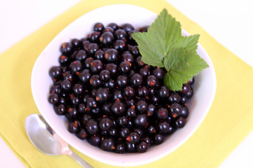 Schwarze Johannesbeeren