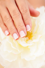 beautiful female hands