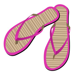 Flip Flops