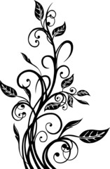 Blätter, Laub, Herbst, Ranke, Blätterranke