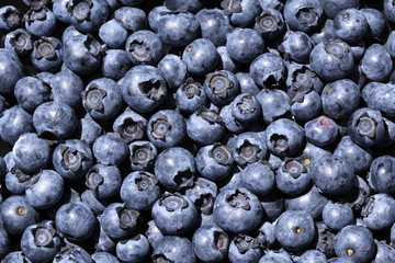 Blueberries