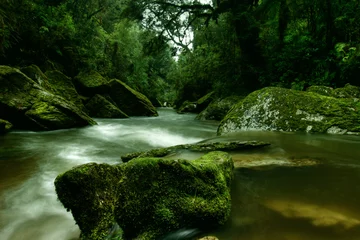 Fototapete Rund Cave Creek in New Zealand © SePp