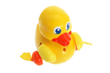 Toy Duckling