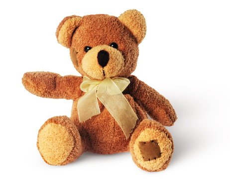 braun bear toy teddy