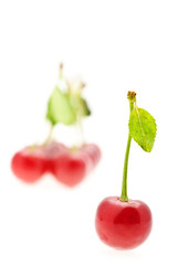 ripe cherry