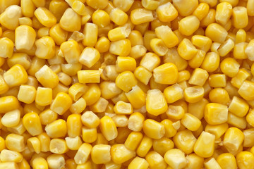Sweetcorn closeup background