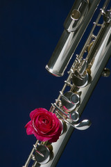 Bass Flute and Red Rose On Blue