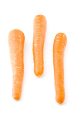carrot