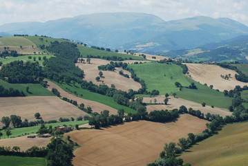 colline