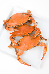 Crab