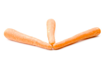carrot