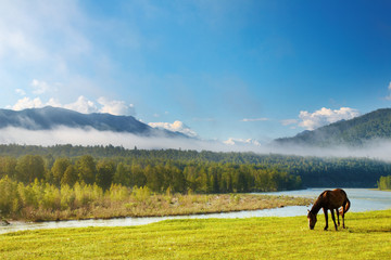 Mountain landscape
