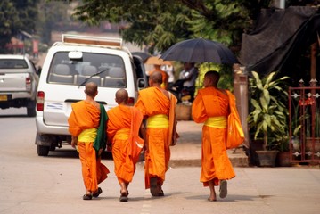 les bonzés font de la marche