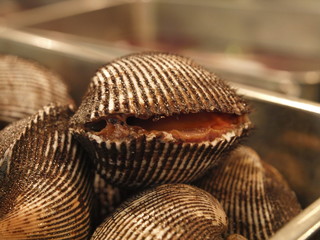 Almejas en la mayor lonja de pescado del mundo en Tokio