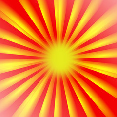 Fototapeta premium sole