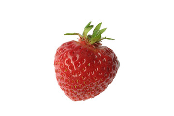 Erdbeere