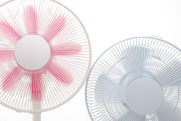 fan