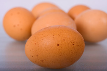 Eggs