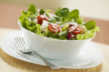 Salad