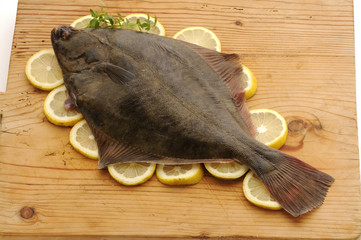 Passera di mare