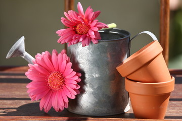 pots de fleurs  et arrosoir © Claude Calcagno