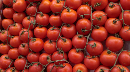 Tomaten