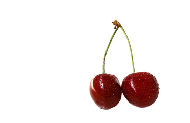 Two sweet cherries