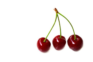 Three sweet cherries