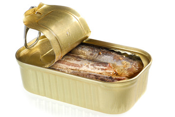 Can of fish
