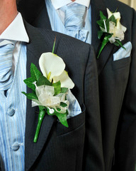 Two buttonholes, cravats and waistcoats