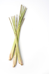Lemon Grass