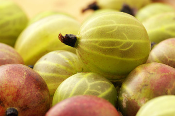 Gooseberries