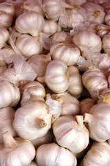 Têtes d'ails