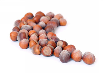 Fototapeta premium Hazelnuts