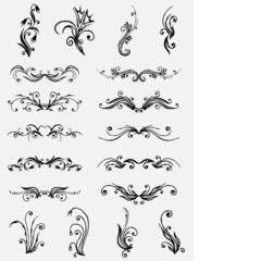 Vectorized Scroll Design