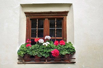 Obraz na płótnie Canvas Blumenfenster - window flowers