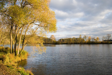 Autumn view