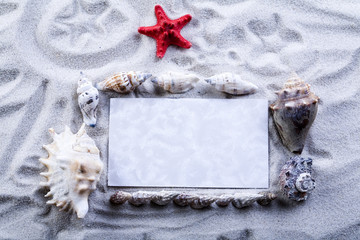 Paper background and seashell
