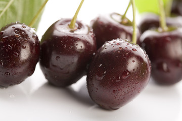 Wild cherries on the white background