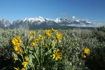 Papier Peint photo autocollant Parc naturel Grand Teton États-Unis