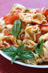 Tortellini Pasta with Basil and Tomatoes