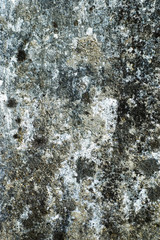 grunge texture