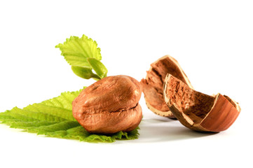 Haselnuss auf Blatt