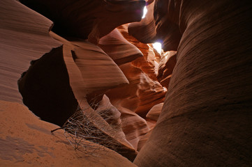 Antelope Canyon 5