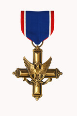 Distinguished service cross