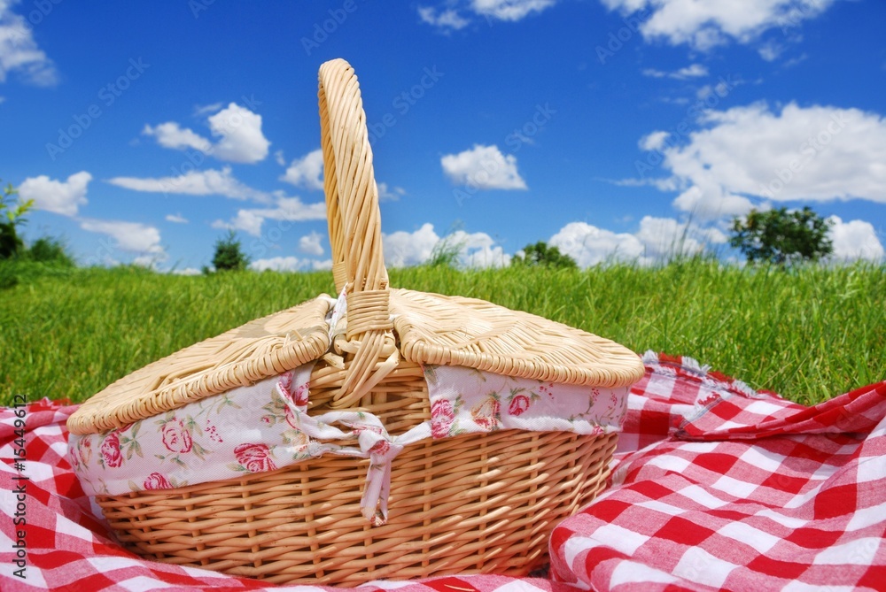 Canvas Prints Picnic on the meadow at sunny day