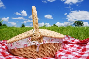 Picnic on the meadow at sunny day